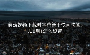 蘑菇视频下载时字幕新手快问快答：从0到1怎么设置